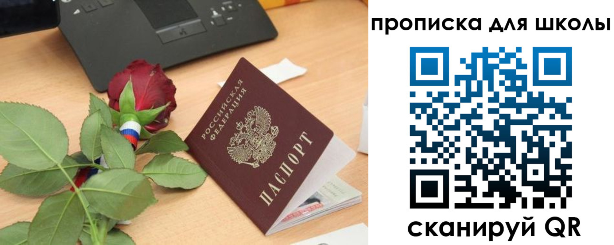 прописка паспорт в Курске